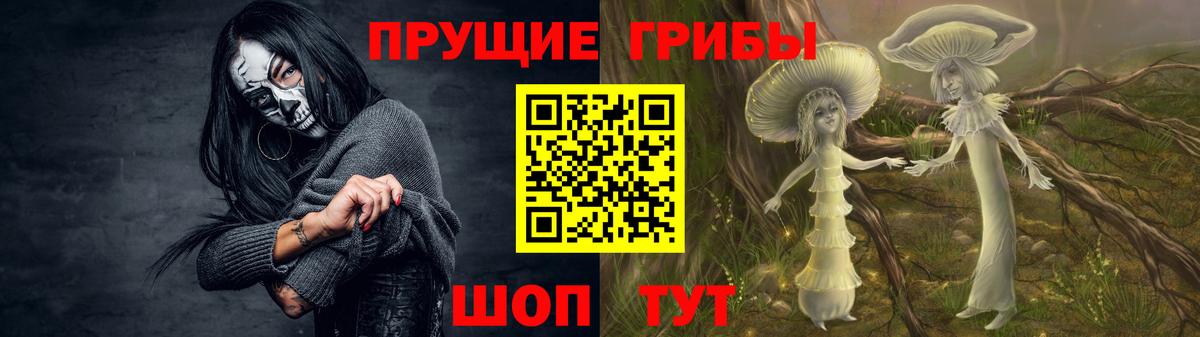 дарнет шоп  Галлюциногенные грибы GOLDEN TEACHER  Острогожск  Вход с VPN  Галлюциногенные грибы MAGIC MUSHROOMS 
